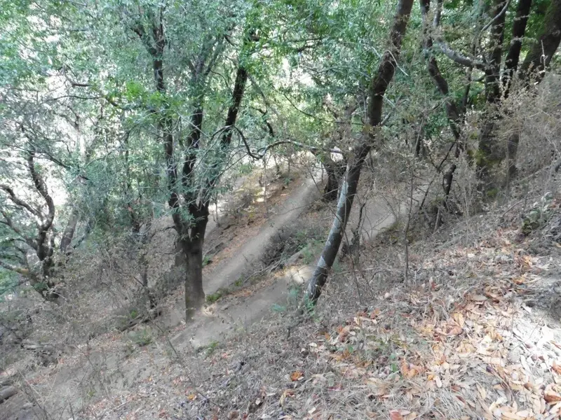 Broken Dam Trail.webp