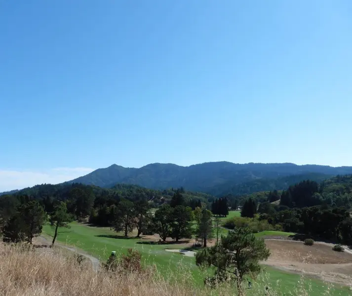 Mt. Tam.webp