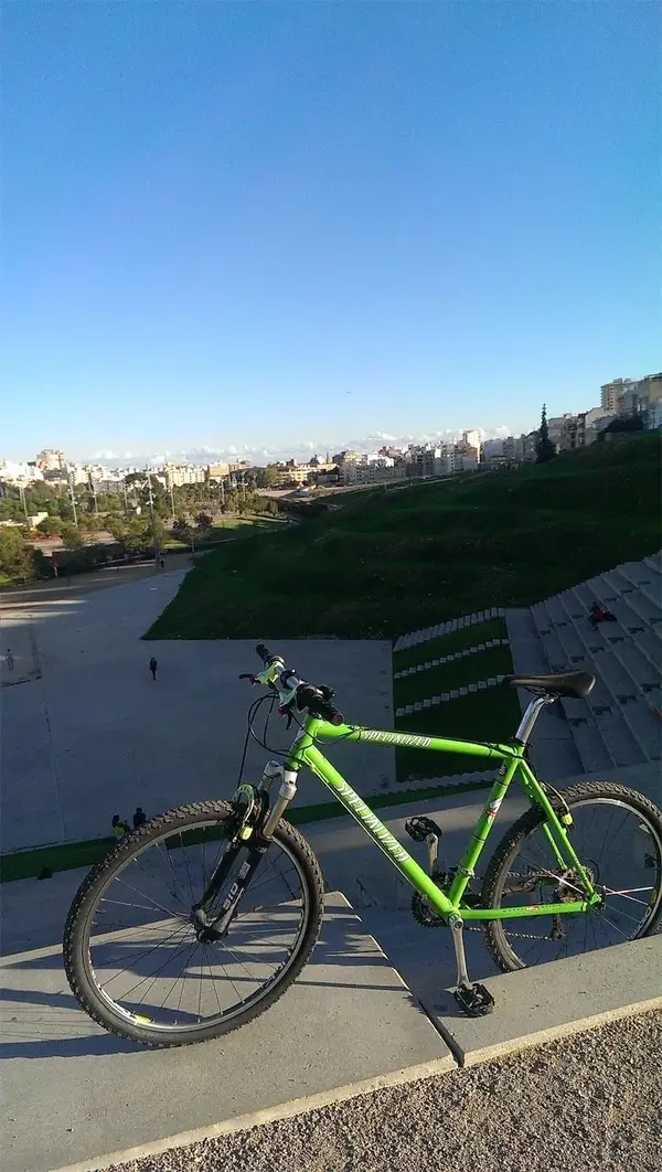IMAG0406.webp