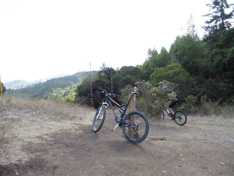 At the top.webp