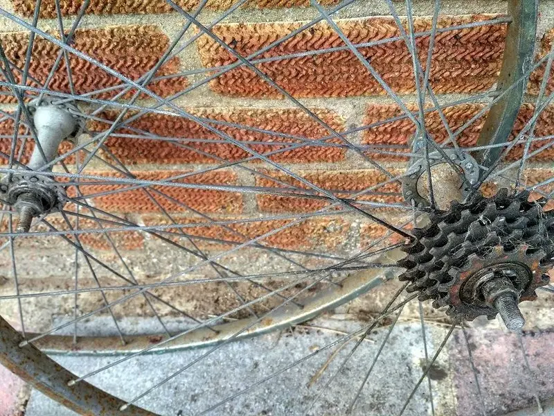 IMG_20160918_160325_HDR.webp