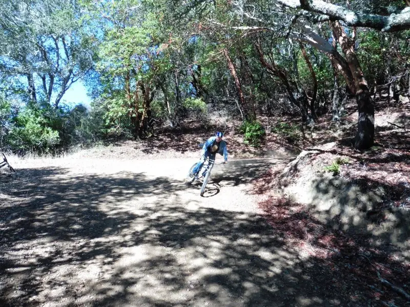 Joe Breeze.webp