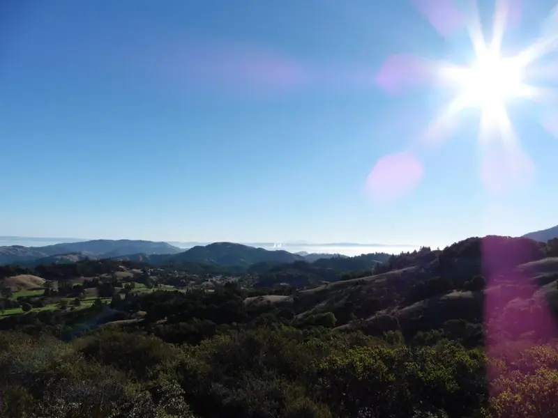 View from Repack.webp