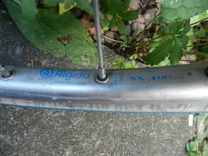 DSCN5097.webp