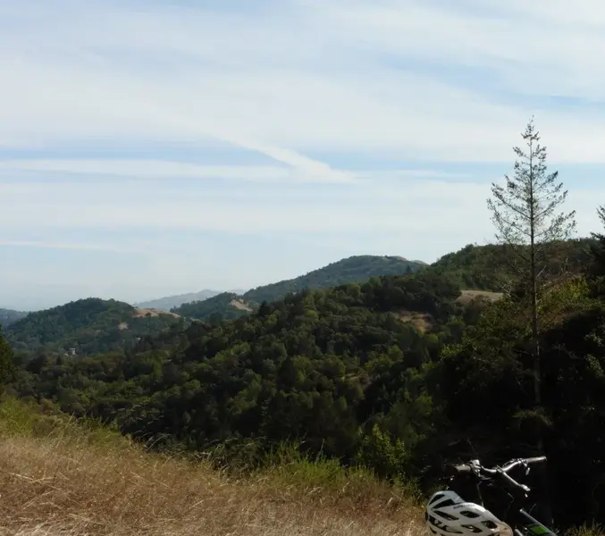View from the top.webp