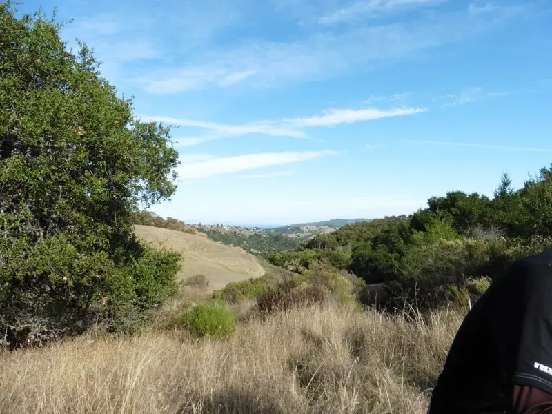 View East.webp
