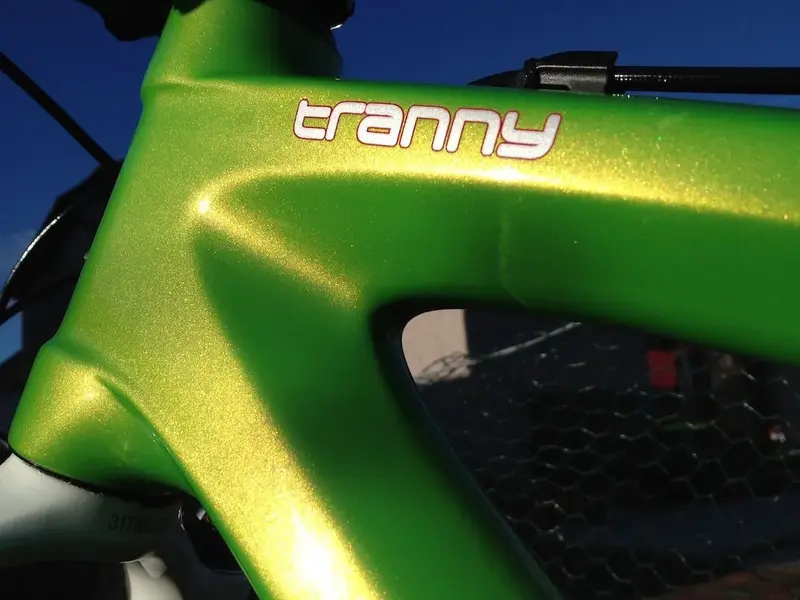 tranny3.webp