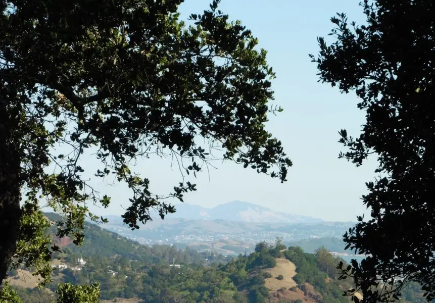 Looking East.webp
