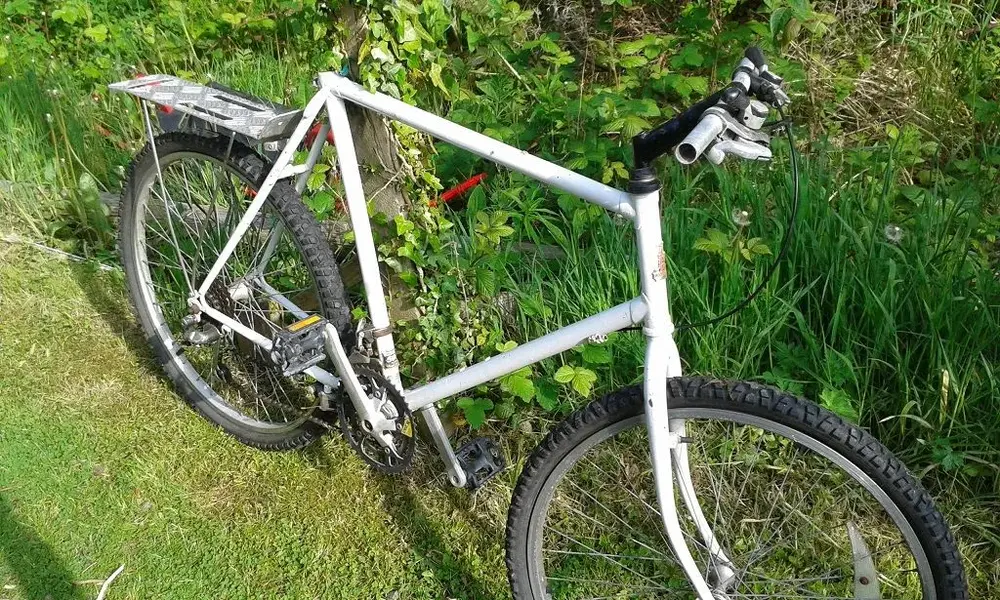 Raleigh Mirage.webp