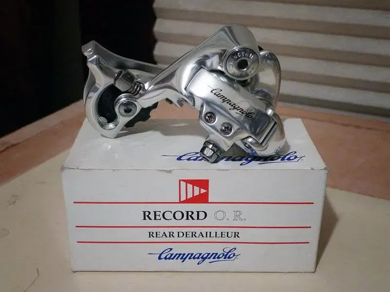 campy.webp