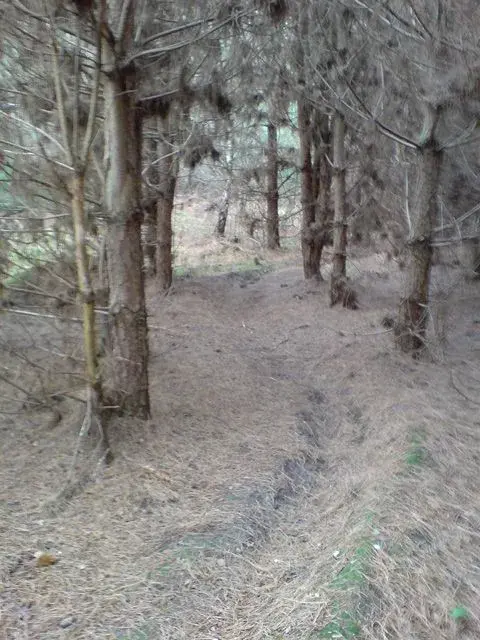 tunstall3.webp