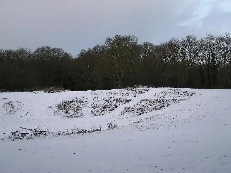snowwww 006 (Medium).webp