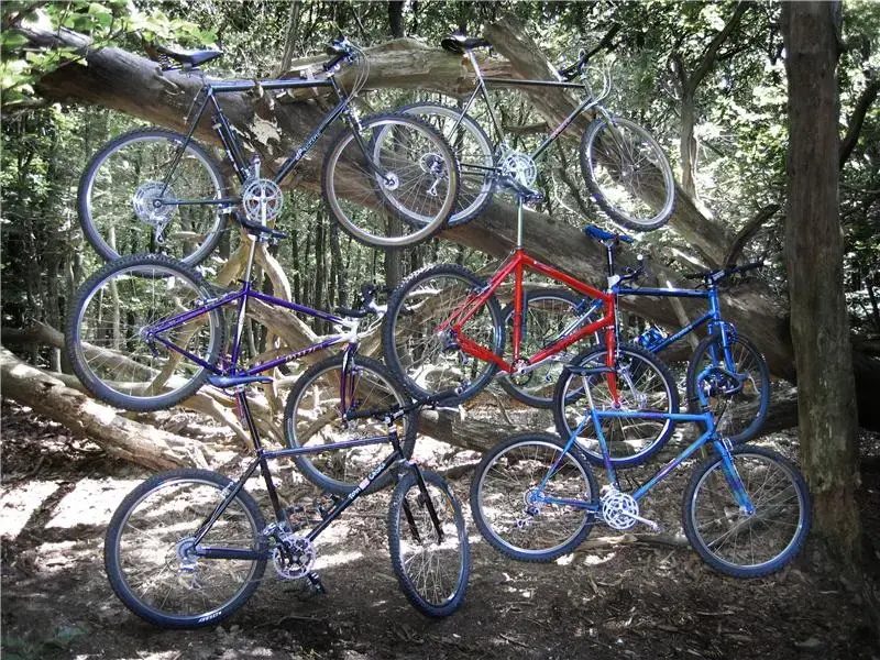 ClassicRidebiketree600h.webp