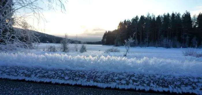 Norway.webp