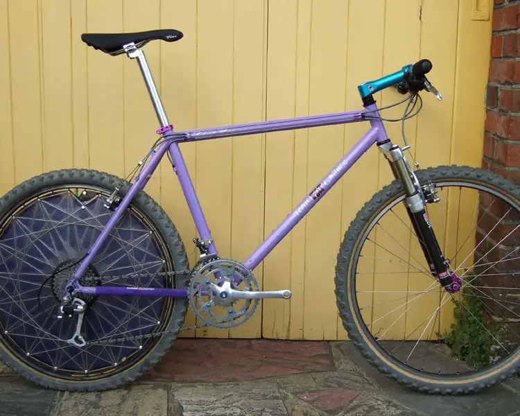 Team Violet Yo.webp