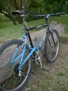 proflex 550 1990s.webp