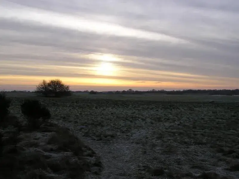 11122008 003 (Medium).webp