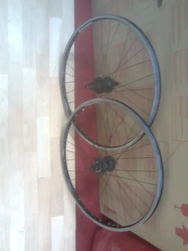 Image003.webp