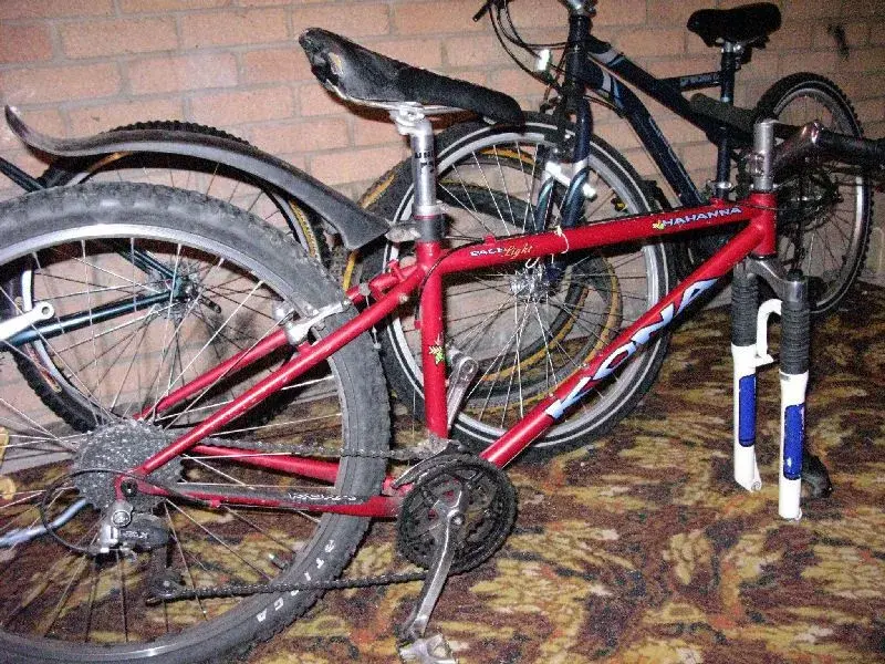 Hahanna Side Retrobike.webp