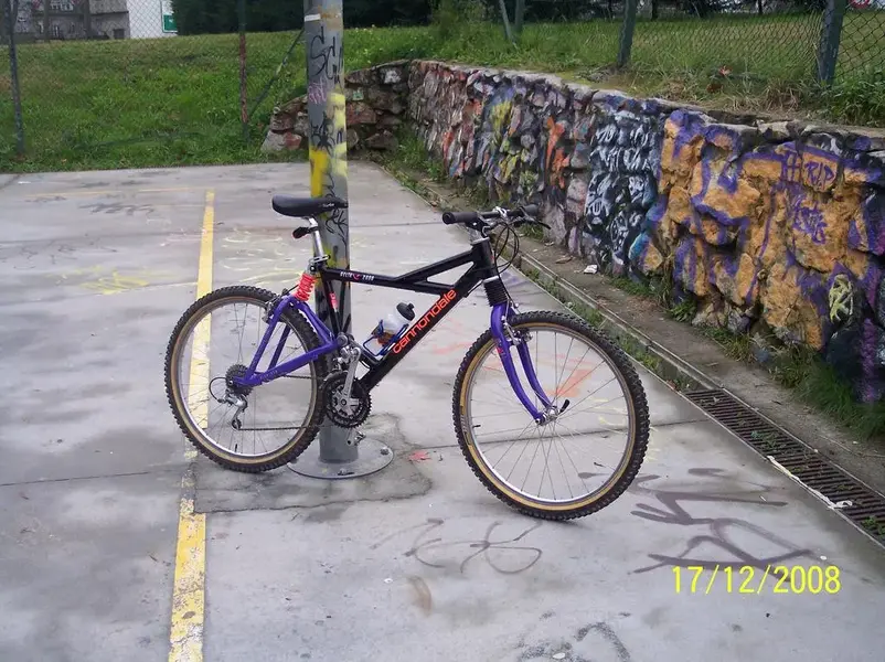 Cannondale delta v2000 010.webp