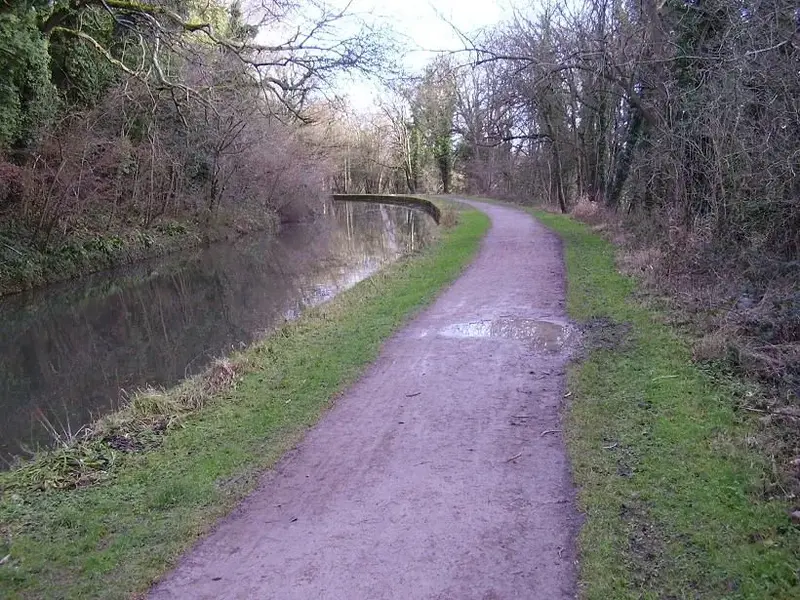 cycle track 2.webp