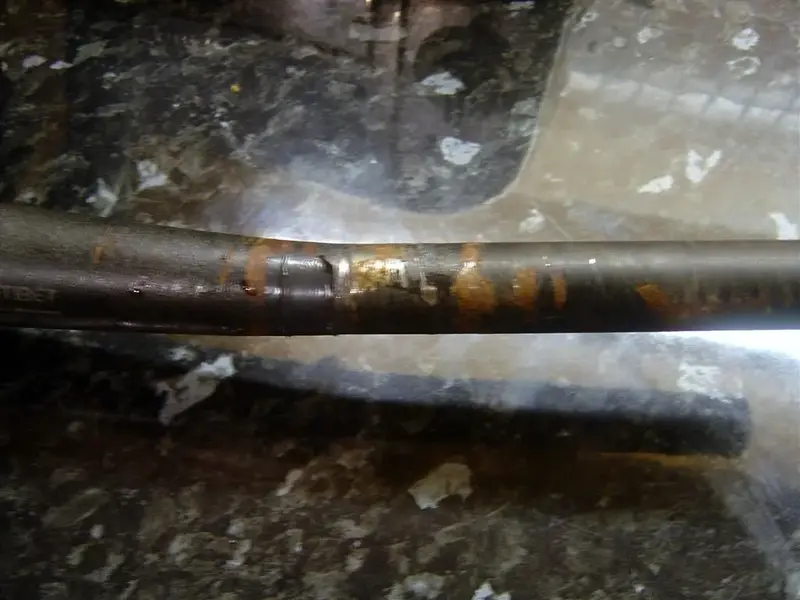 stem1 (Large).webp