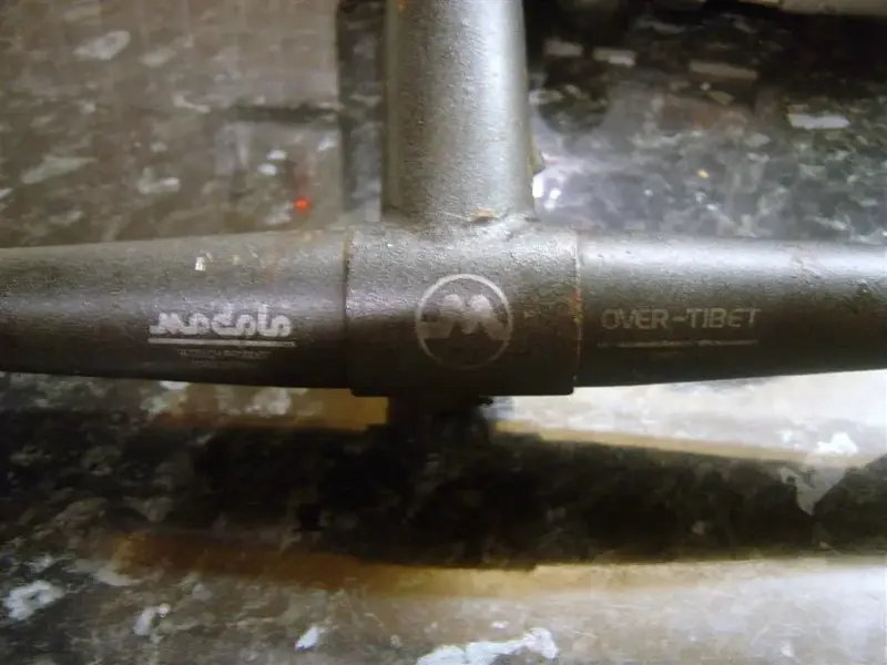 stem3 (Large).webp
