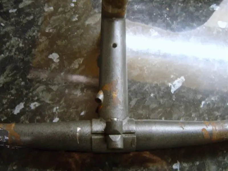 stem4 (Large).webp