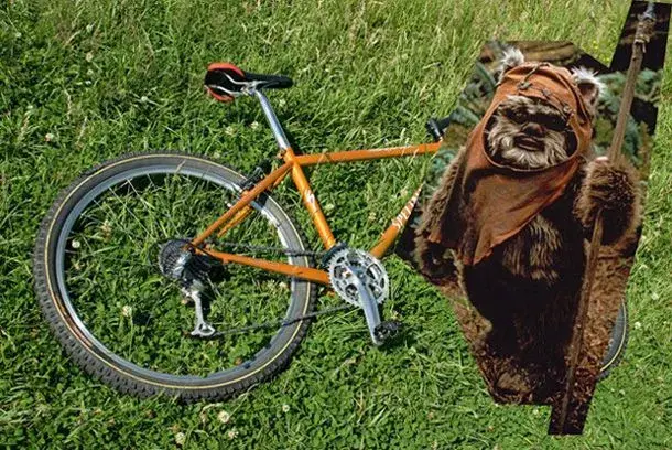 stumpy ewok copy.webp