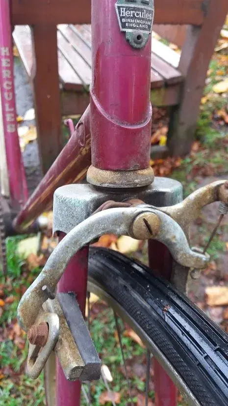 badgecrowncaliper.webp