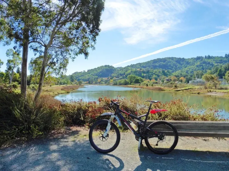 Corte Madera Creek.webp