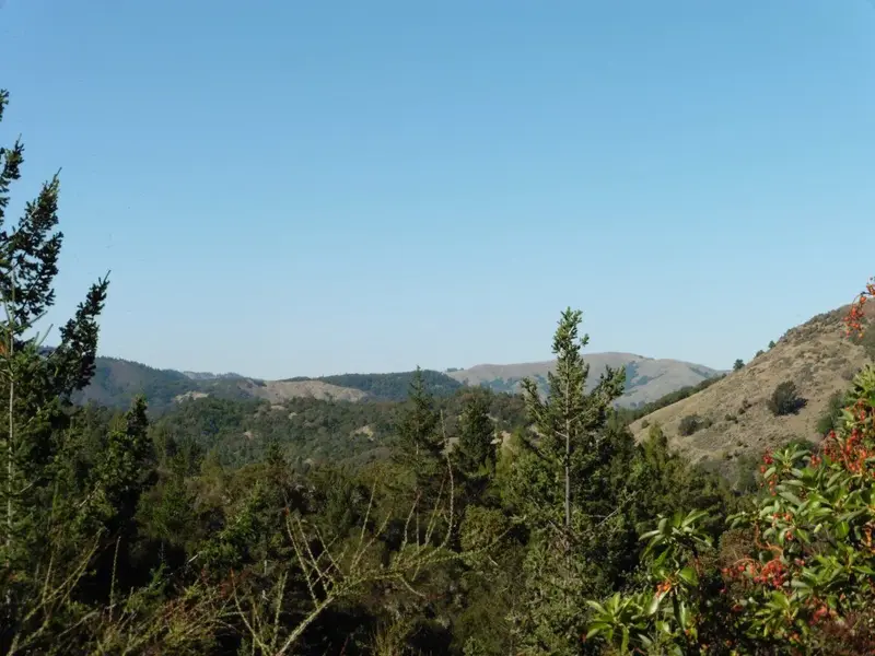 View on the climb.webp