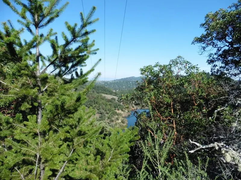 Above Phoenix Lake.webp