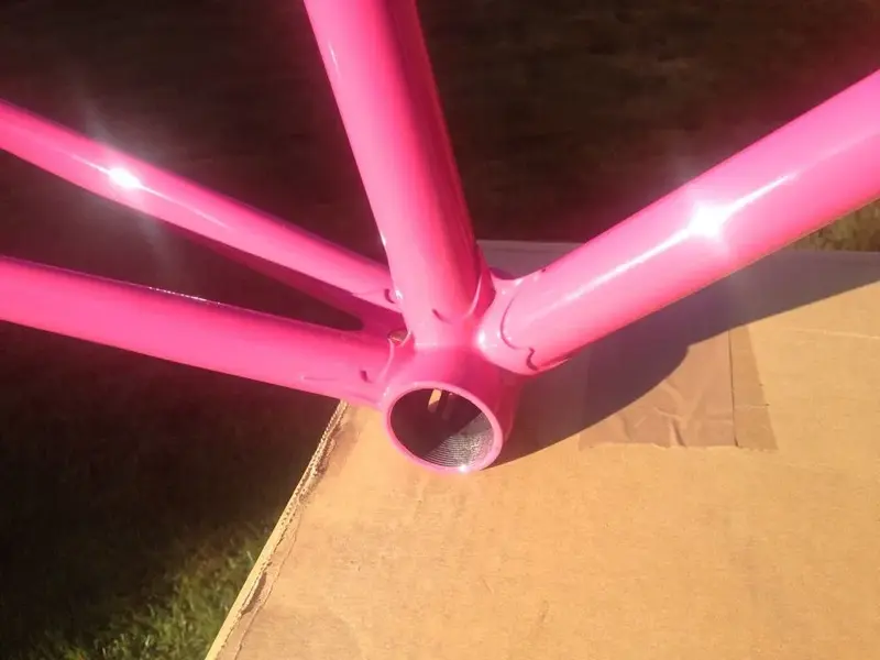 image.webp