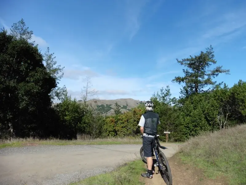 Loma Alta in background.webp
