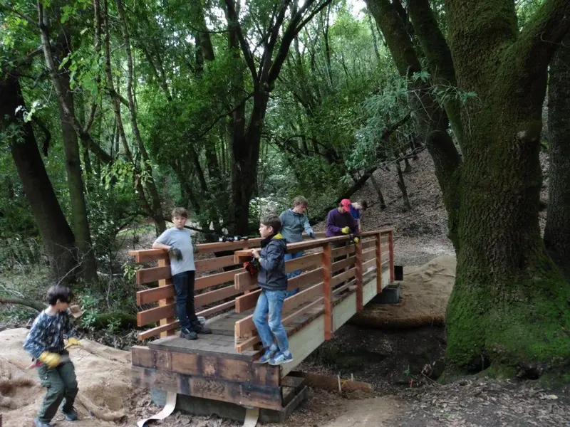 New Bridge.webp