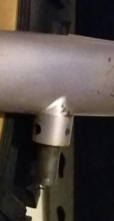 IMAG3602_1.webp
