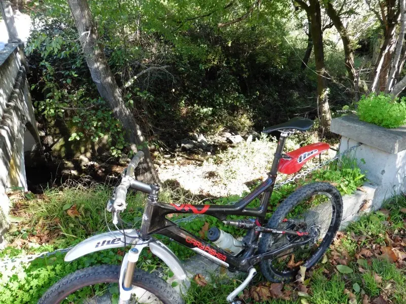 Fairfax Creek.webp