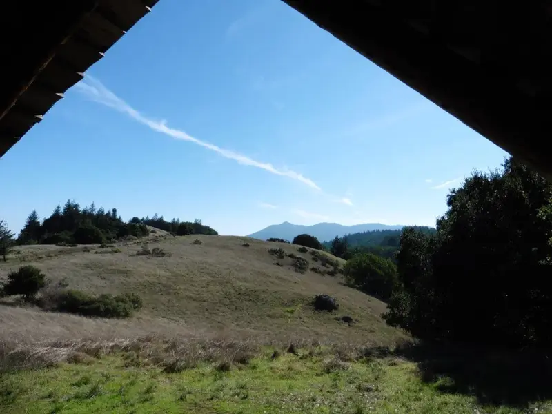 View of Mt. Tam from Tamarancho.webp