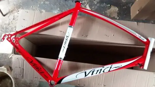 Vinci frame.webp