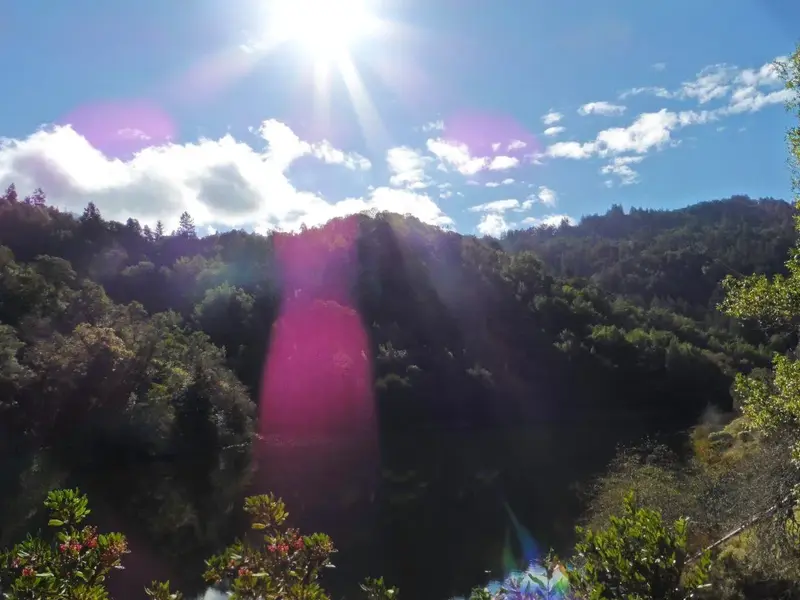 Lower Tam.webp