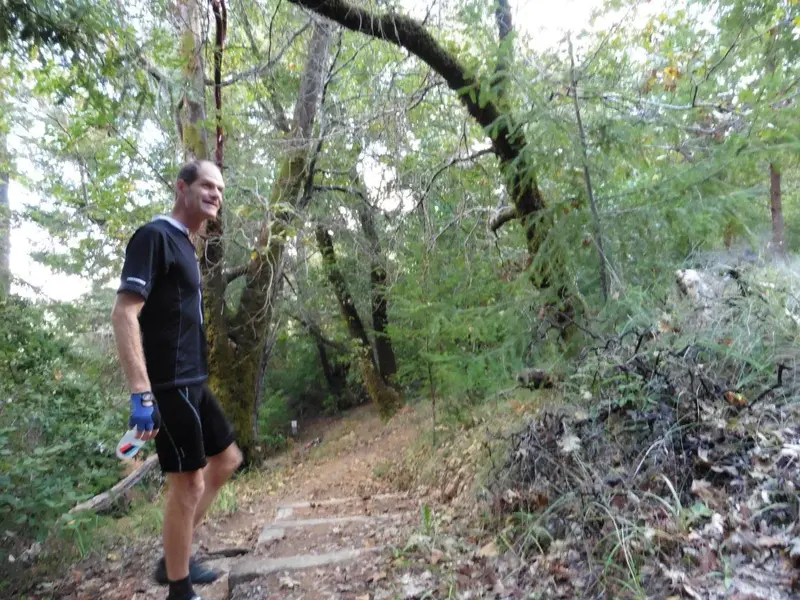 Deep in the woods.webp