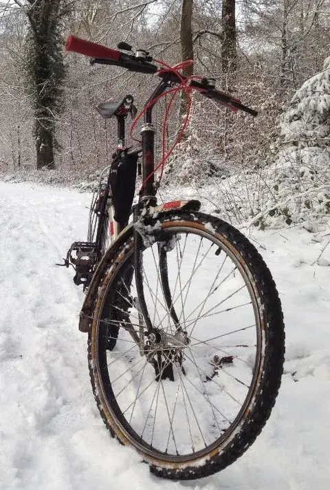Saracen Conquest2.webp