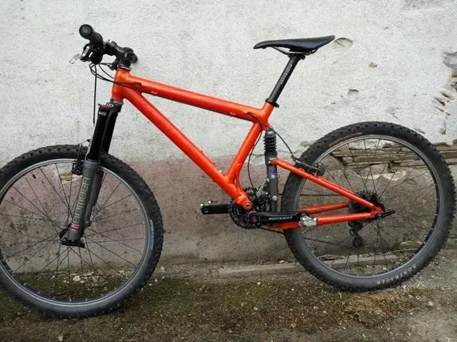 2003 Palomino22.webp