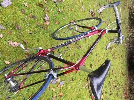 bike 3.webp