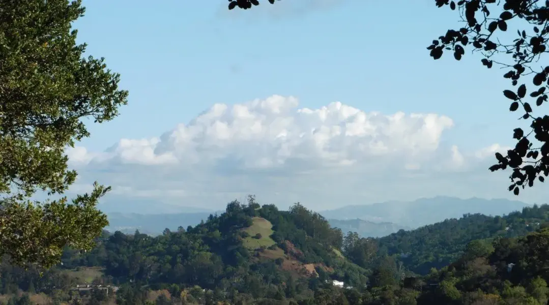Red Hill and the Bay.webp