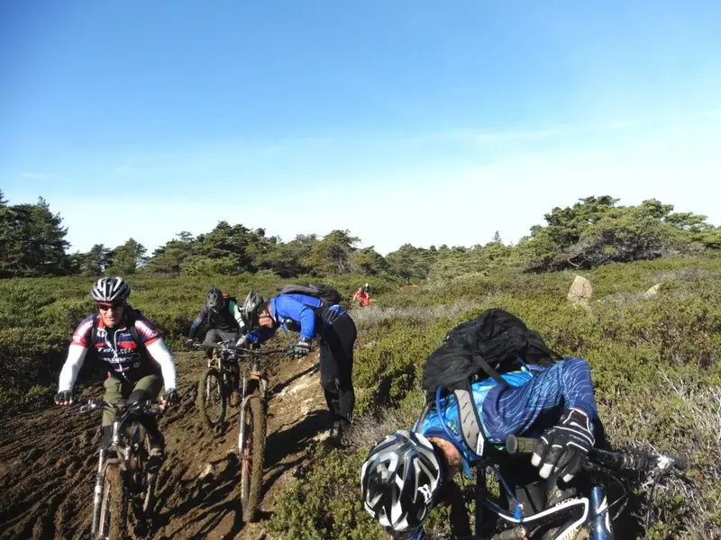 Muddy on the ridge top.webp