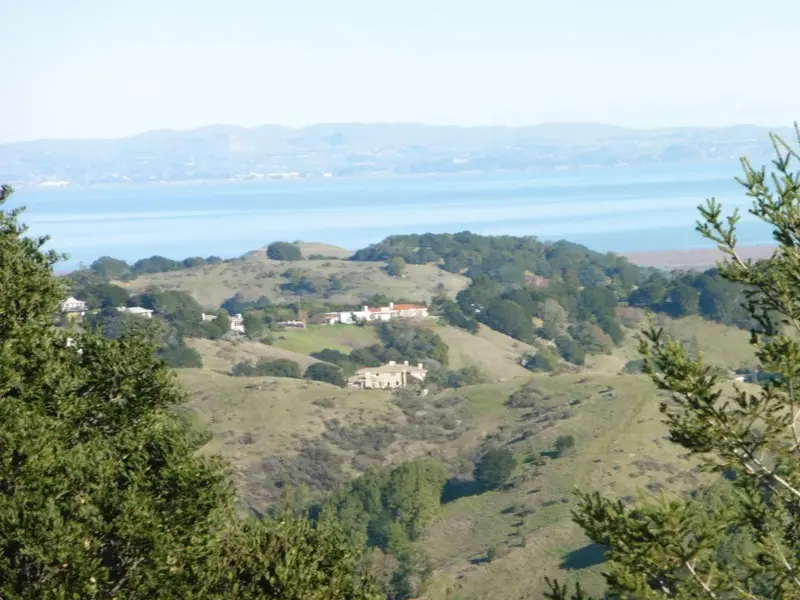 North Bay.webp