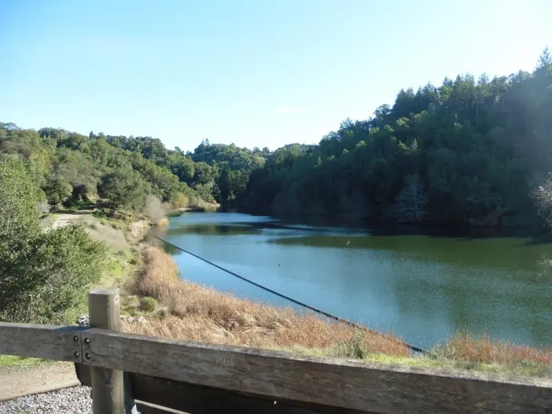 Phoenix Lake.webp