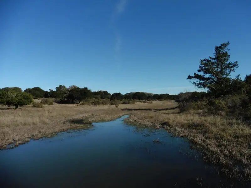 Vernal Pool in Big Meadow.webp